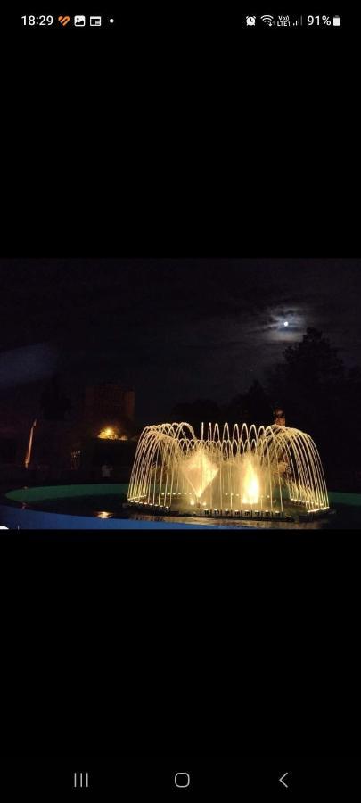 לינה וארוחת בוקר Turnu Măgurele Casa Cojocaru מראה חיצוני תמונה